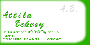 attila bekesy business card